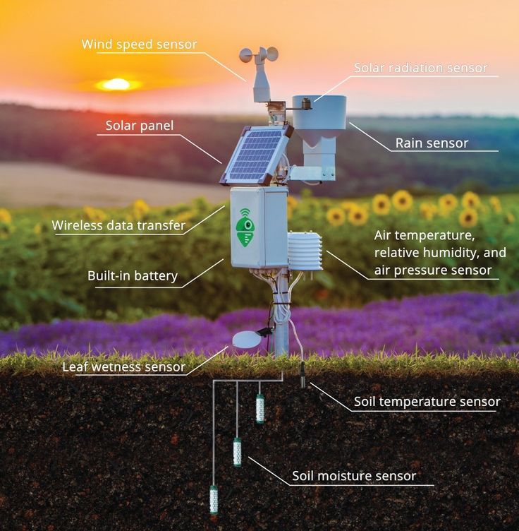 Robot with Sensor